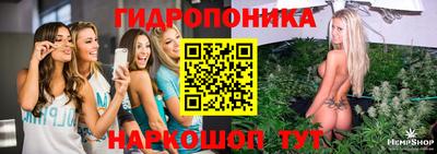 PSILOCYBIN Боровичи