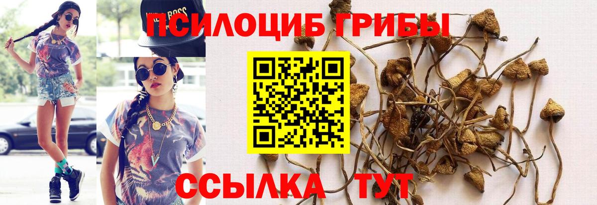 Галлюциногенные грибы GOLDEN TEACHER  Галлюциногенные грибы Psilocybe  Вход с VPN  Первоуральск 